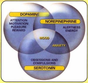 Neurotransmitter Clinical Correlates