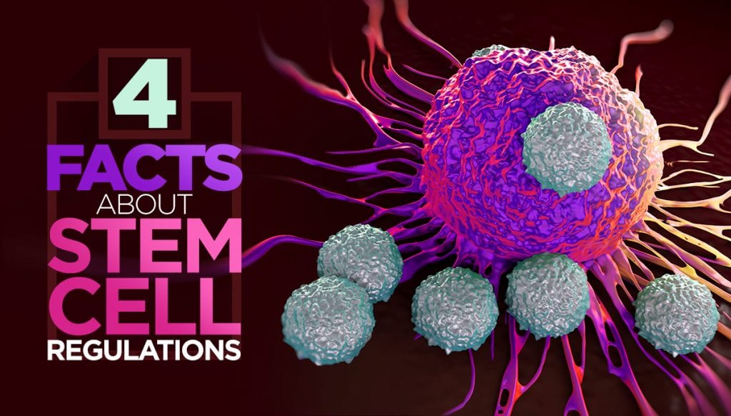 stem cell regulations FDA