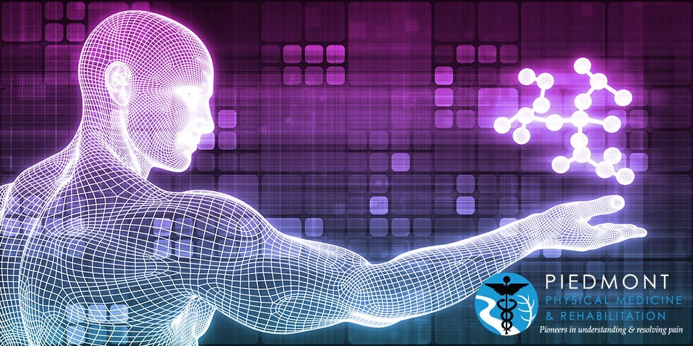 Where do stem cells come from